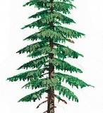 3d04c024704cb2cca438ff3eeff0f115-nggid019-ngg0dyn-0x360-00f0w010c010r110f110r010t010