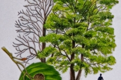 alder-nggid0211-ngg0dyn-0x360-00f0w010c010r110f110r010t010